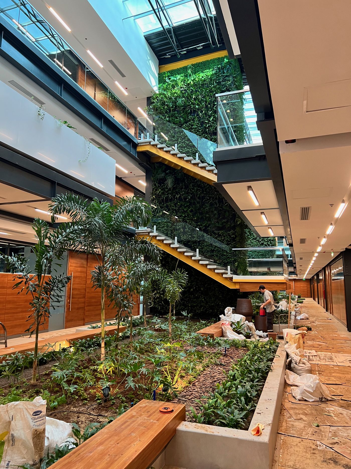 Jardinización interior